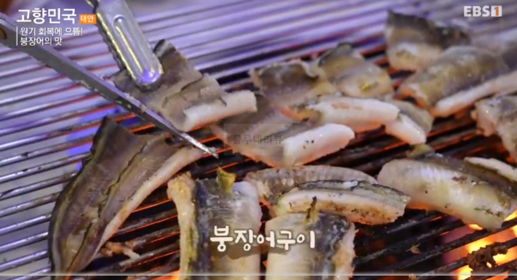 고향민국 원기 회복에 으뜸 붕장어의 맛 태안 시장 붕장어 가게 어디? 4 ywAAAAAAQABAAACAUwAOw==