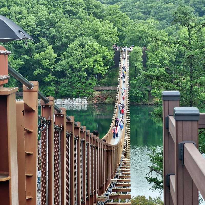 전국 출렁다리 BEST5