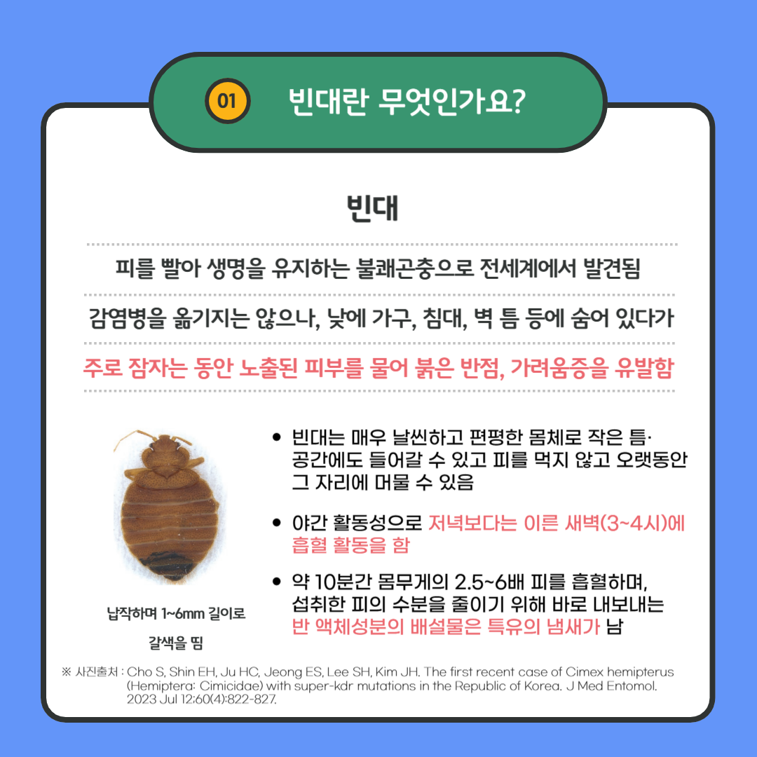 빈대 물렷을때 치료방법 및 제거 예방방법