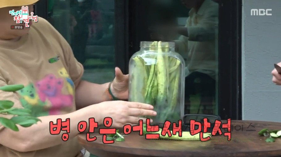 전지적참견시점 이영자 오이피클 오이지 만들기 레시피 - 마카롱 여사님 6 ywAAAAAAQABAAACAUwAOw==