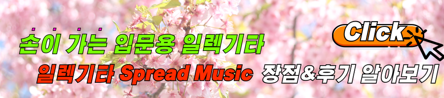 입문용 일렉기타 Spread Music 일렉기타 후기, 적당한 무게감과 울림이 느껴지는 일렉기타