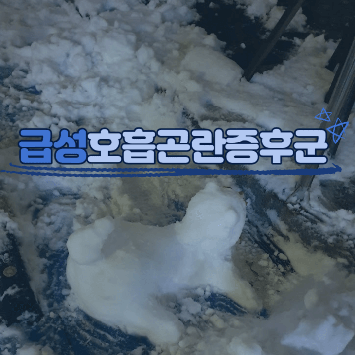 강아지 급성호흡곤란증후군(Acute Respiratory Distress syndrome) 1 Acute Respiratory Distress syndrome