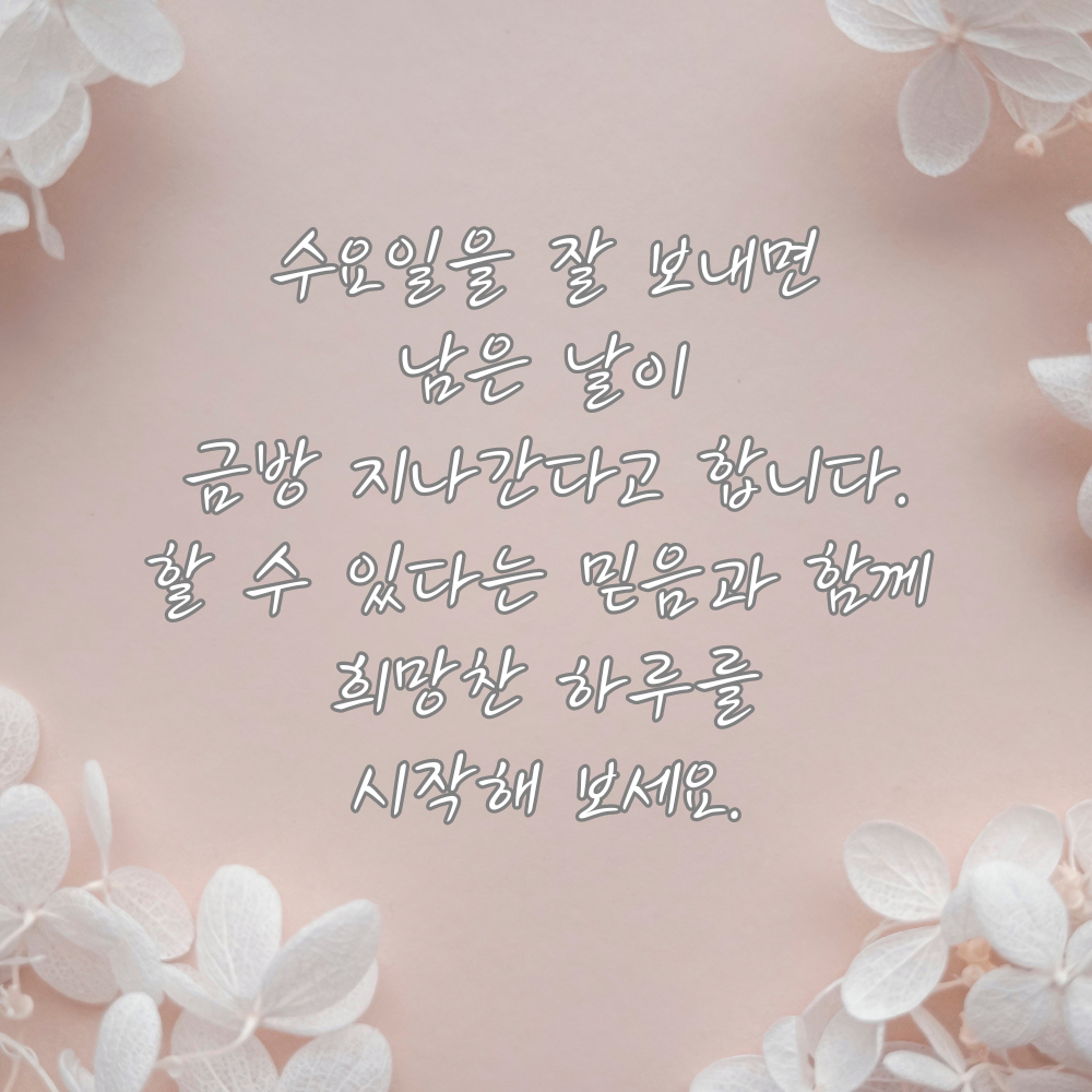 6월 수요일 아침 인사말 이미지 모음