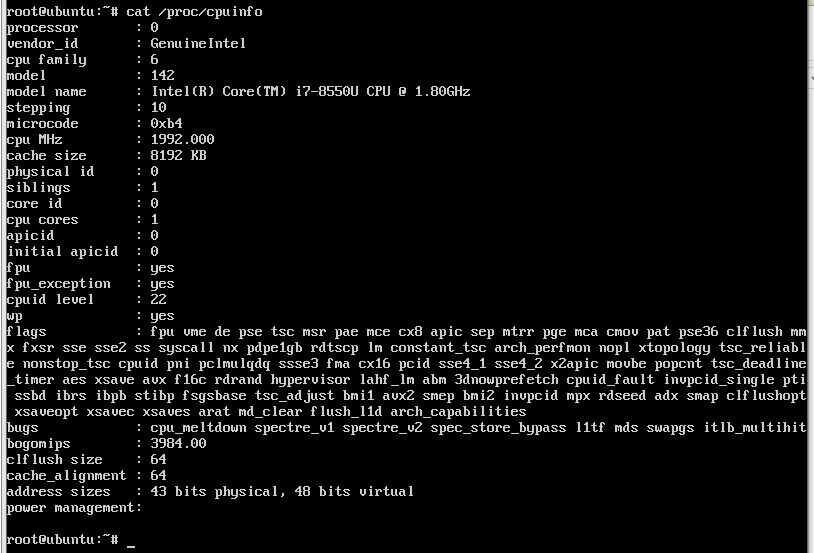 cat cpuinfo linux