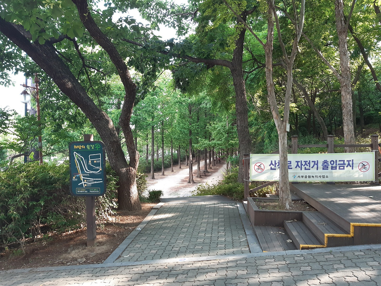2.2km 연초록빛 향연! 월드컵공원 메타세쿼이아길 1 ywAAAAAAQABAAACAUwAOw==