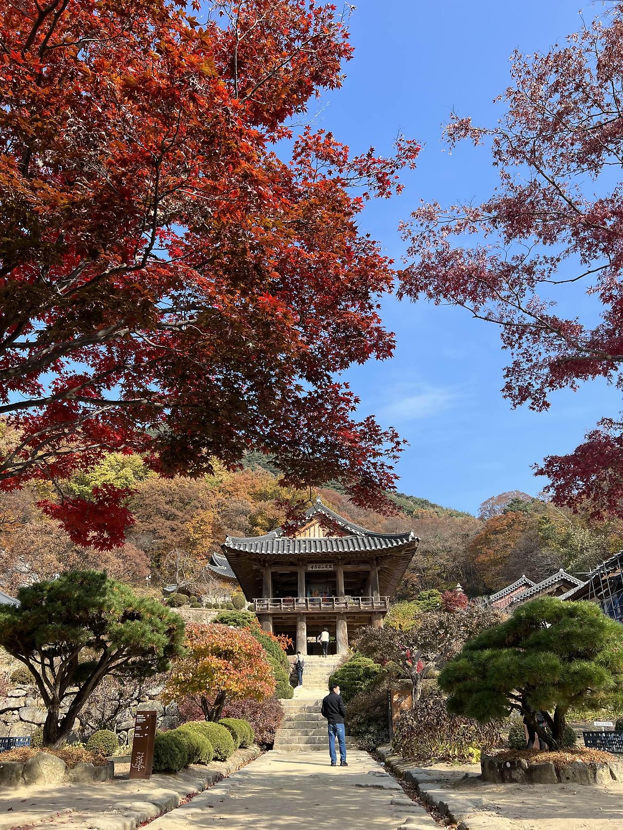 영주 부석사 무량수전