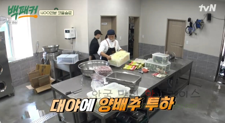 백패커 코울슬로 레시피 만드는 법 - 400인분 코울슬로 10 ywAAAAAAQABAAACAUwAOw==