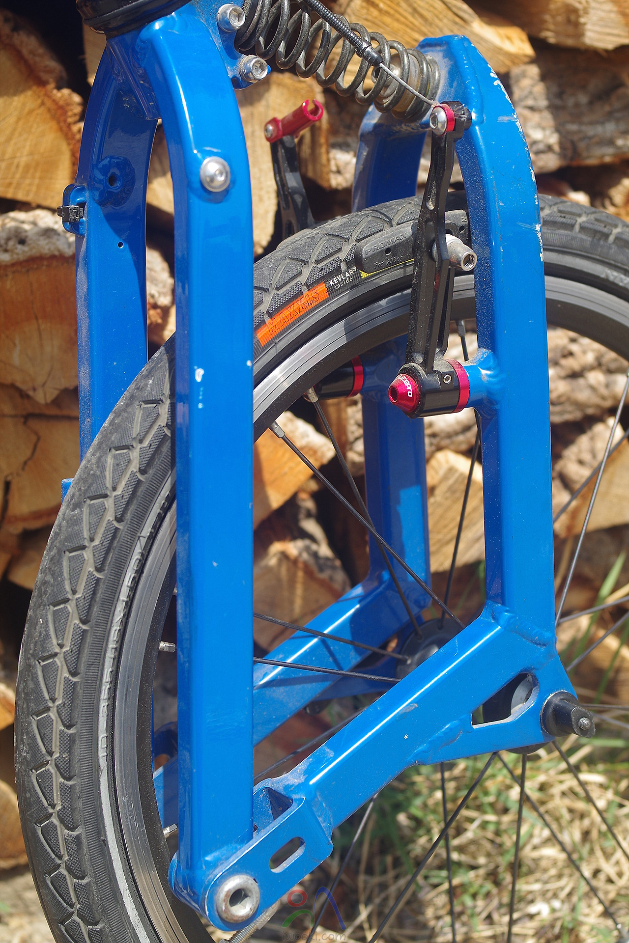 birdy vs dahon