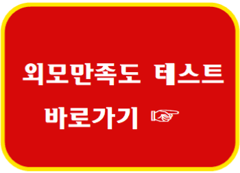 외모 만족도 테스트 바로가기