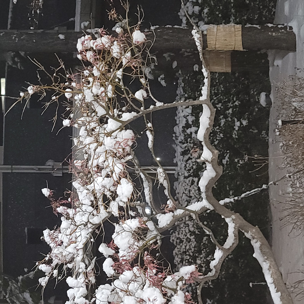 ?scode=mtistory2&fname=https%3A%2F%2Fblo