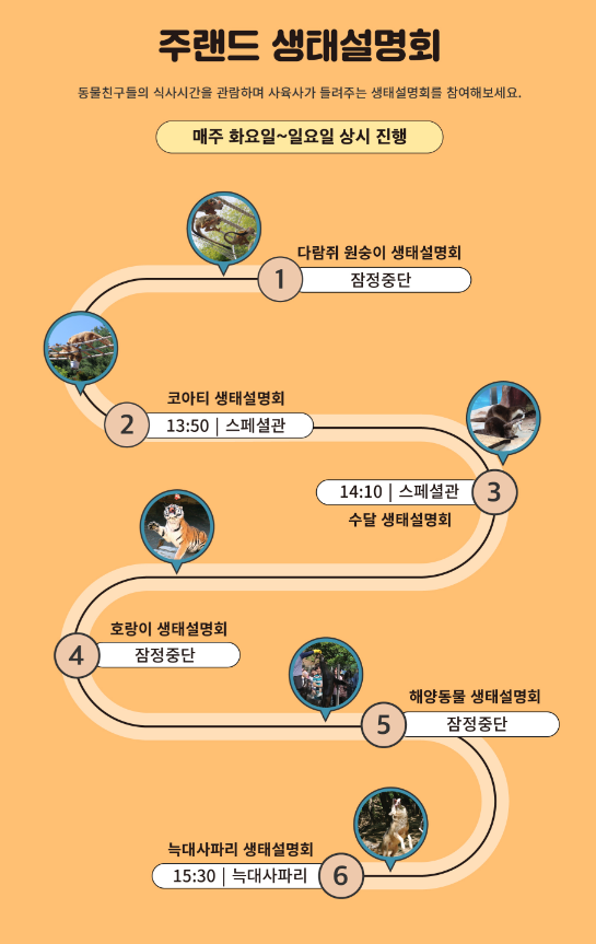 대전 오월드 입장료 및 자유이용권 50% 할인 정보