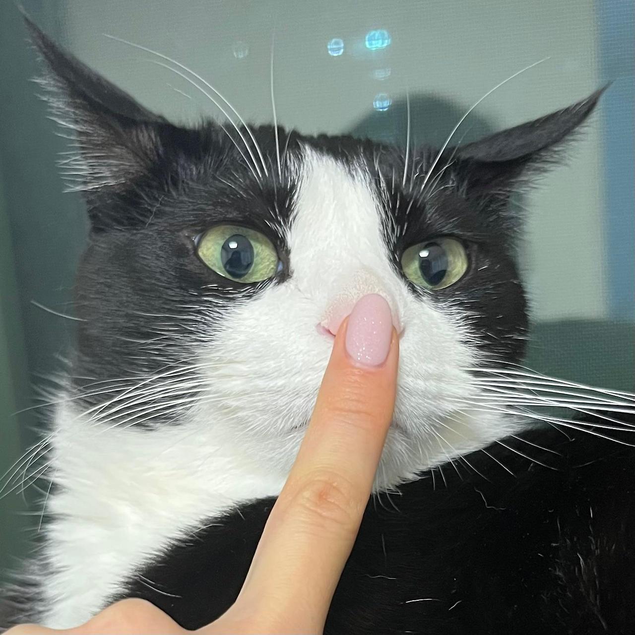 ?scode=mtistory2&fname=https%3A%2F%2Fblo