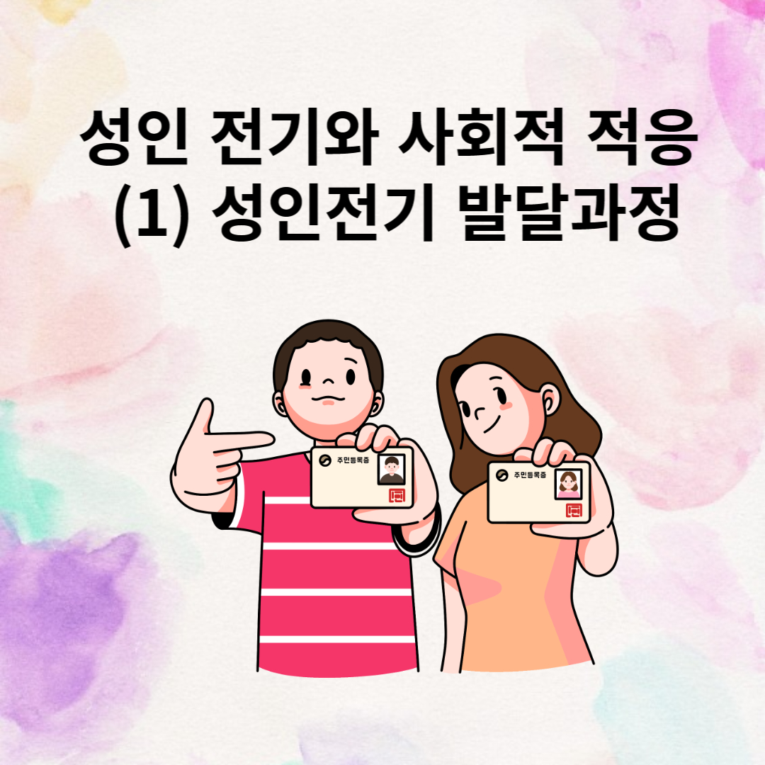 성인 전기와 사회적 적응 - (1) 성인전기 발달과정