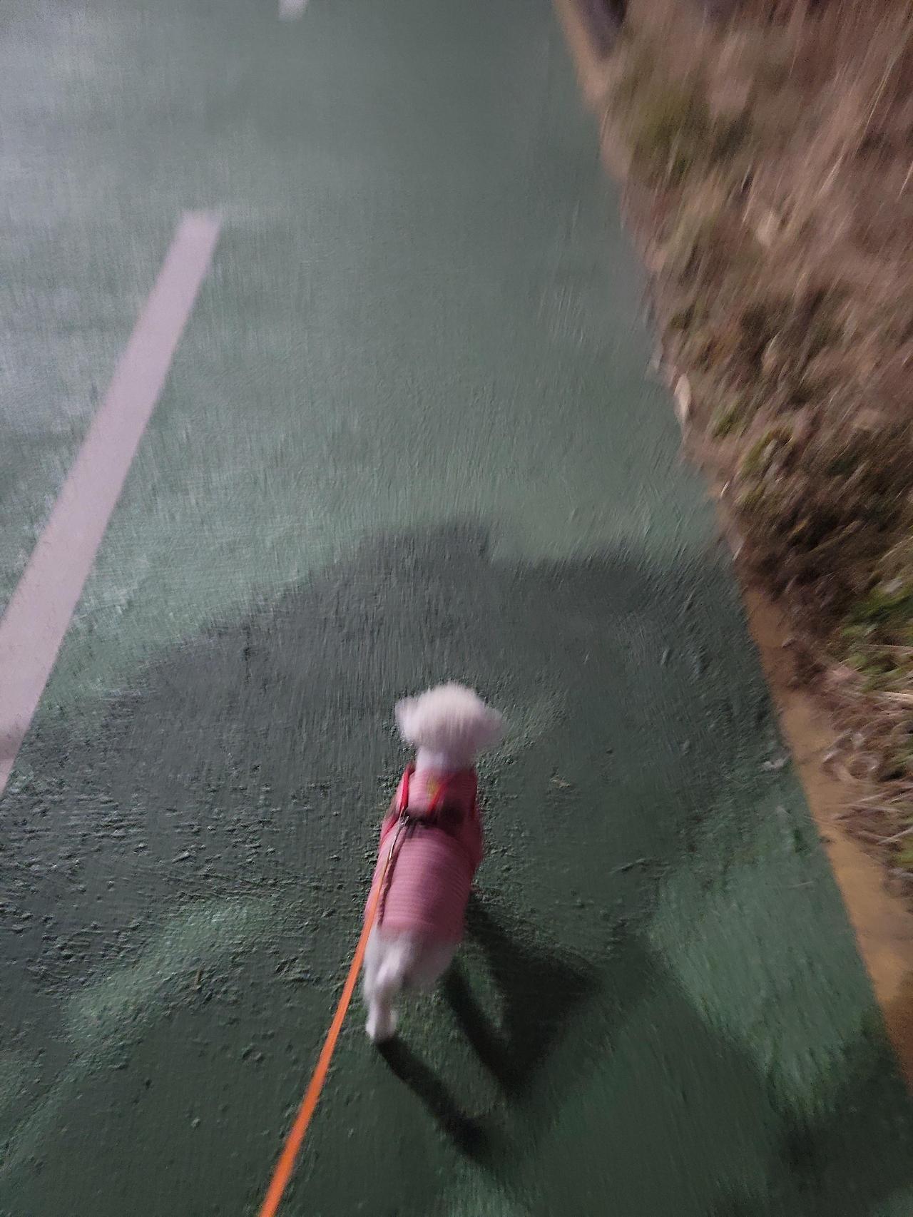 ?scode=mtistory2&fname=https%3A%2F%2Fblo