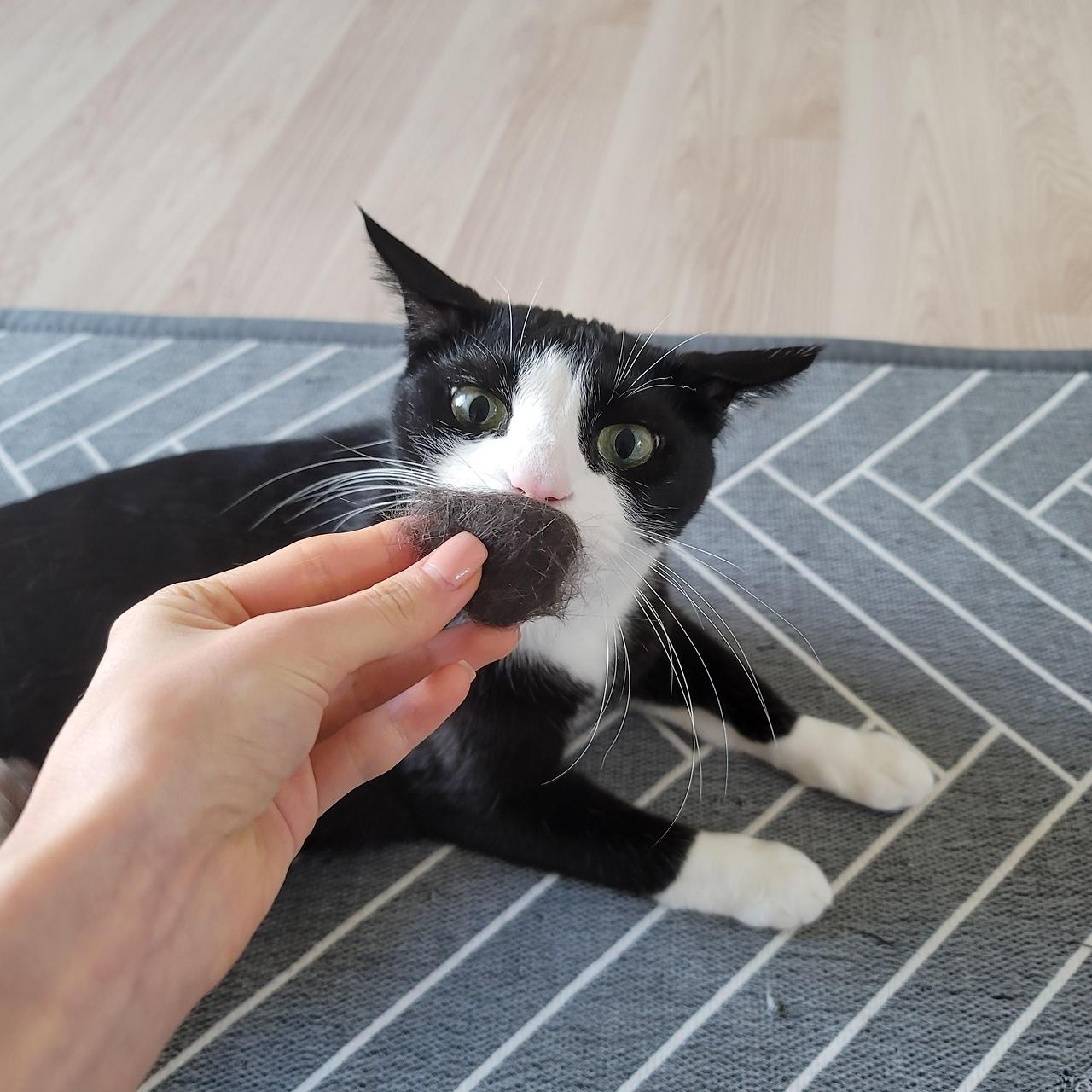 ?scode=mtistory2&fname=https%3A%2F%2Fblo