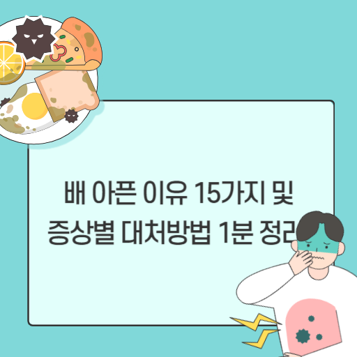 배 아픈 이유 15가지, 배 아플때 증상별 대처방법 1분 정리!