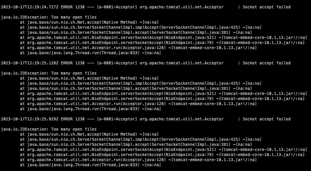 (Linux) Too many open files 에러가 발생하는 경우
