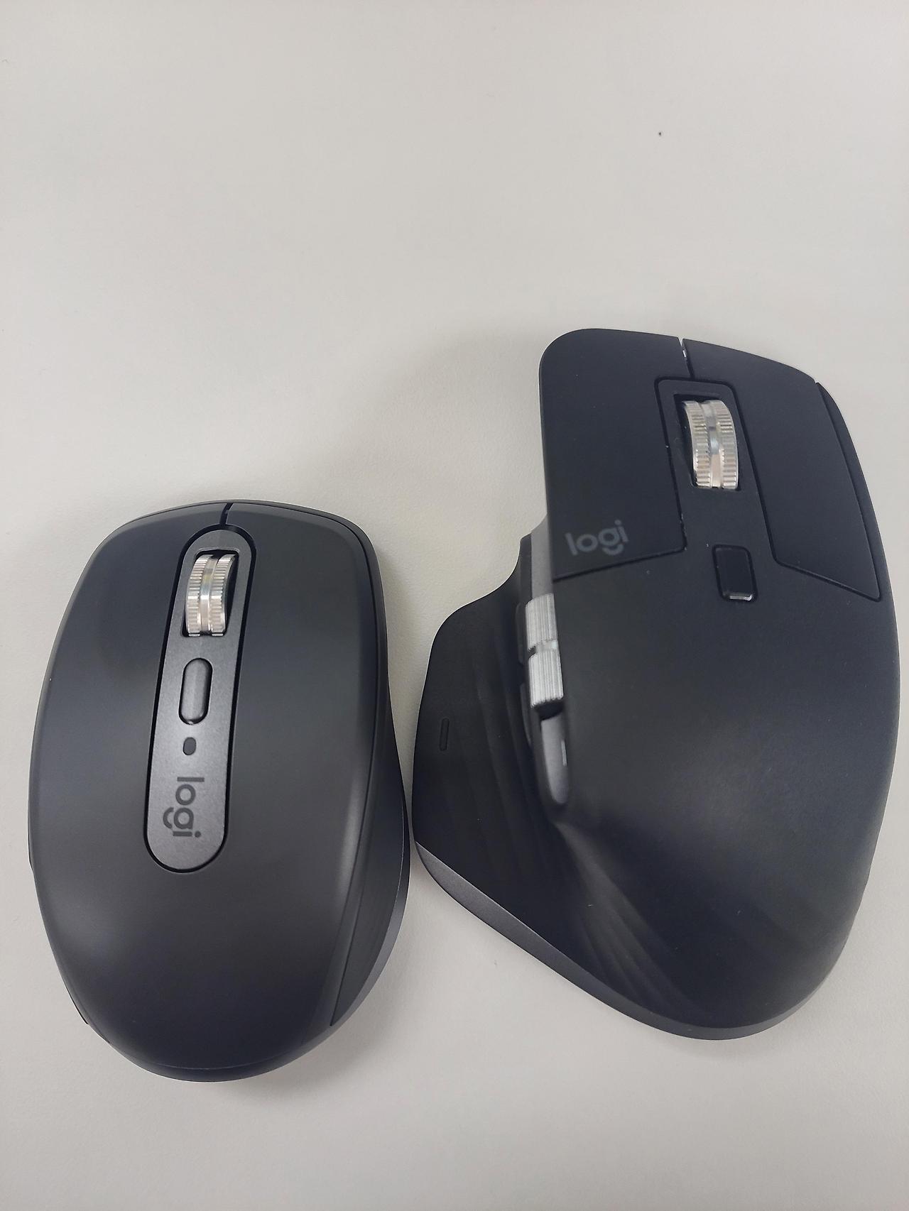 로지텍 MX Anywhere 3 vs MX Master 3 비교
