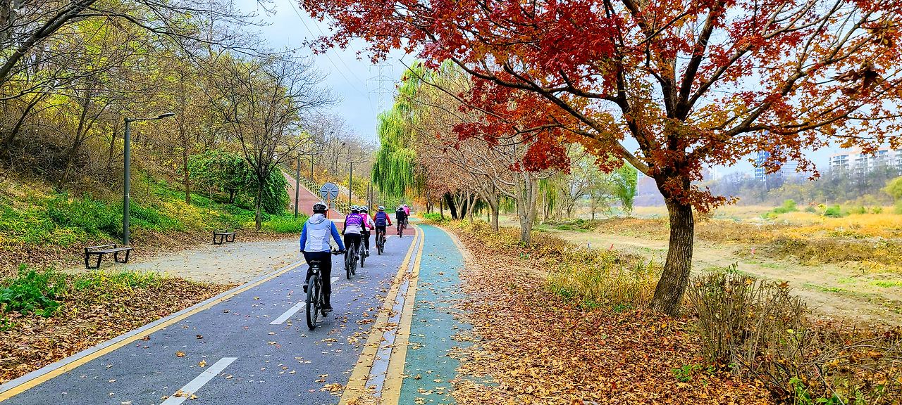 청계산 자전거 코스