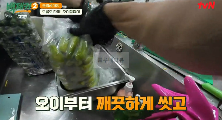 백패커2 오이탕탕이 만들기 레시피, 오이 탕탕이 비법 소스 5 ywAAAAAAQABAAACAUwAOw==