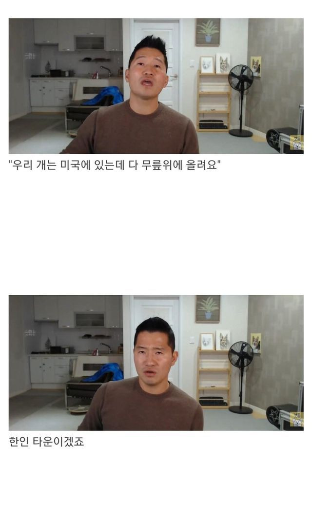 ?scode=mtistory2&fname=https%3A%2F%2Fblog.kakaocdn.net%2Fdn%2FOMeKT%2FbtrFrcHz959%2FKukYu82t0Np5vgGOY0YYG1%2Fimg.jpg