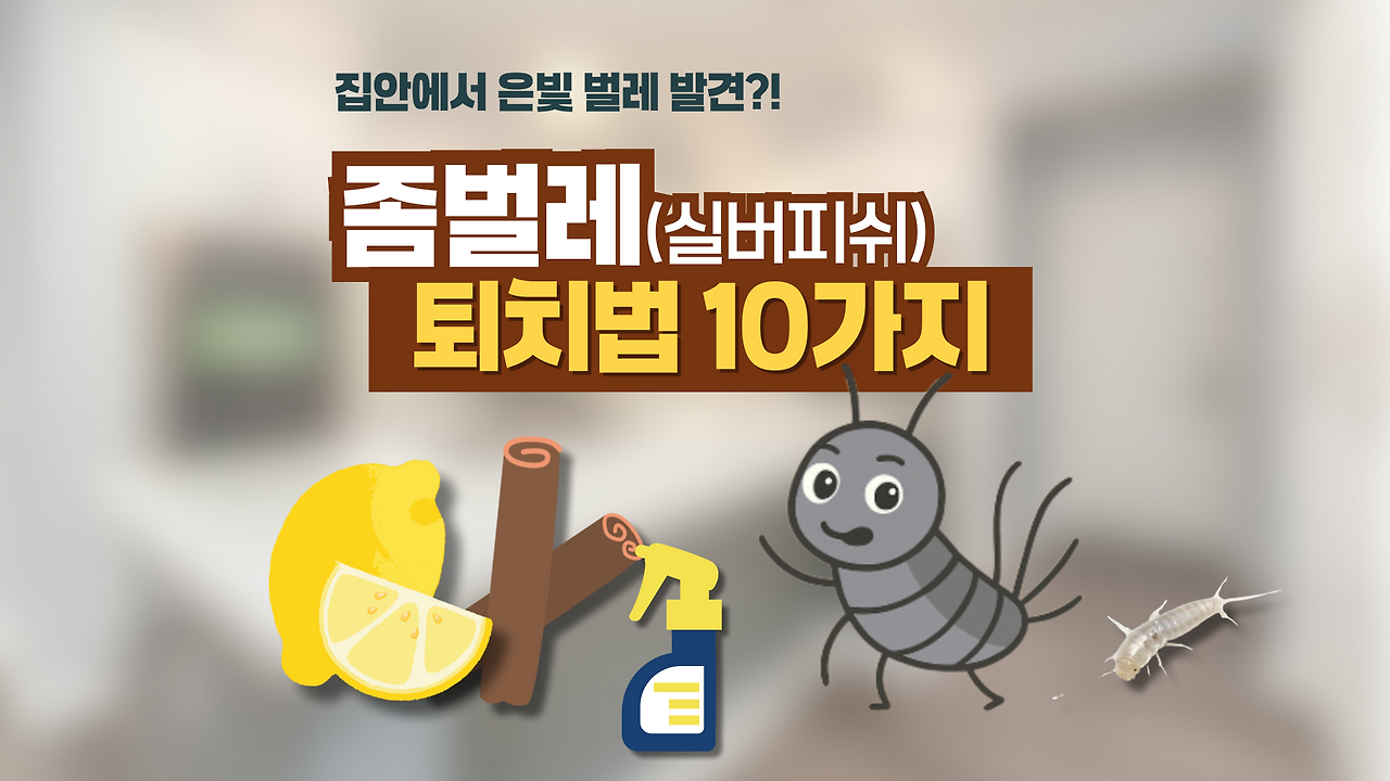 베란다 타일 틈새 곰팡이 제거