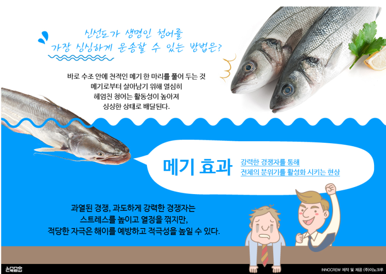 메기효과