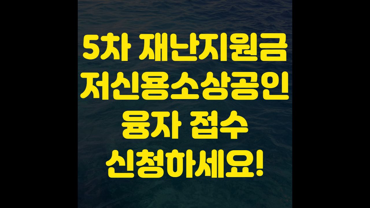 5차 재난지원금 저신용 소상공인 융자 접수