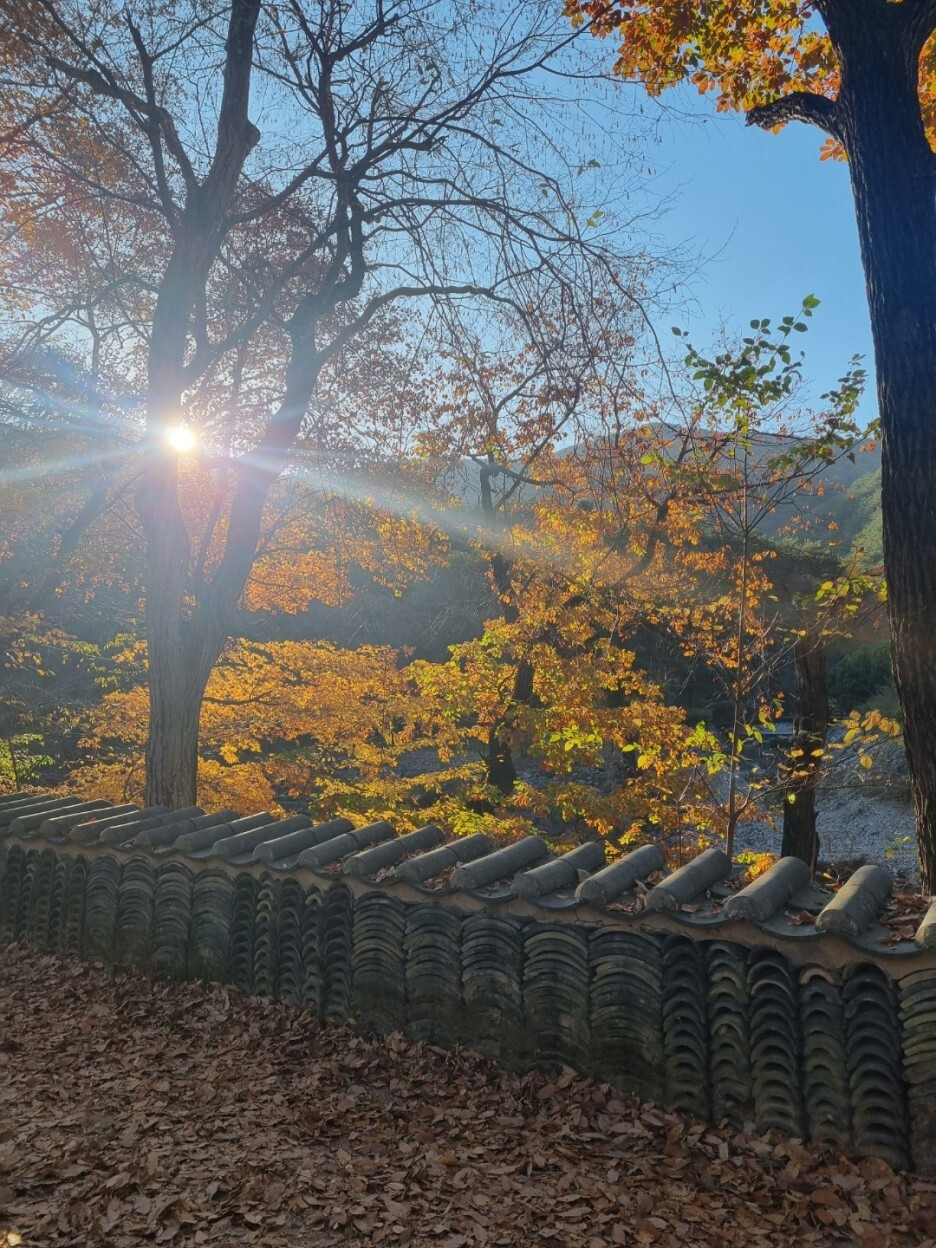 단풍이 예쁜 운문사 경치