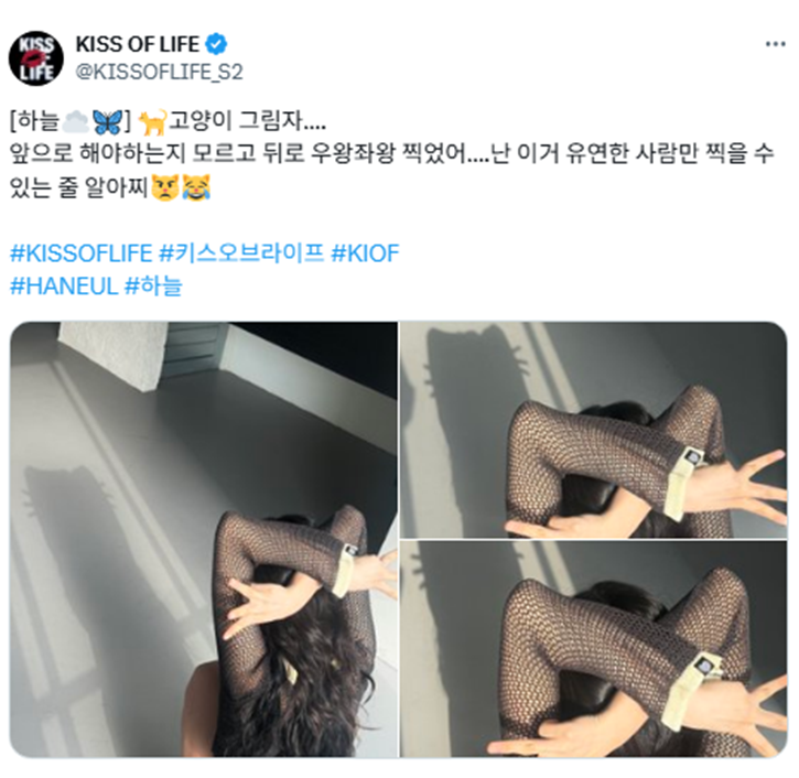 아무것도 모르고 팬들이 해달라고 해서 따라한 결과…jpg | 인스티즈