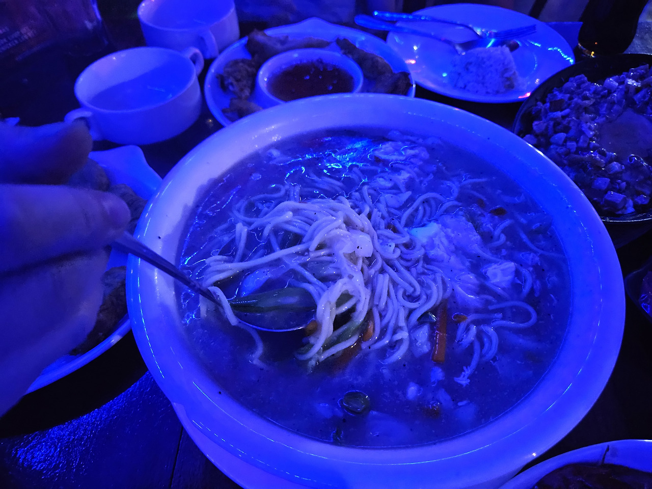 필리핀 보홀 단비리조트 근처 MOSA, spindrift 현지 음식점 맛집 후기 40 ywAAAAAAQABAAACAUwAOw==