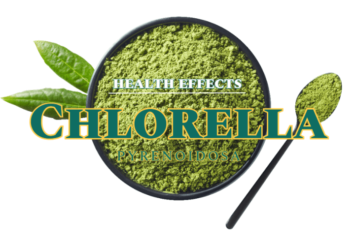 체질 개선의 자연 해독제 클로렐라 1 Chlorella