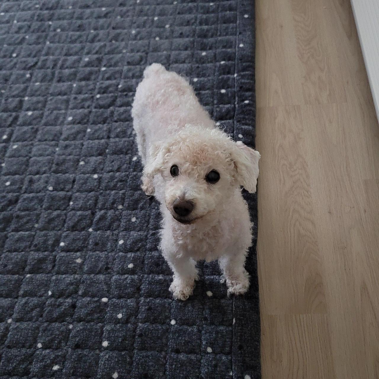 ?scode=mtistory2&fname=https%3A%2F%2Fblo