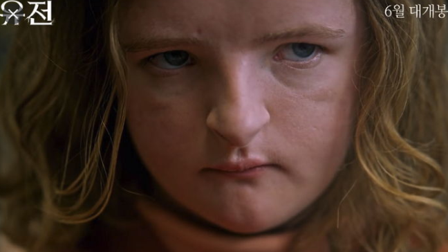 고어물추천 미국판곡성영화 유전(hereditary, 2018) - 메이들린의 작은 오두막집