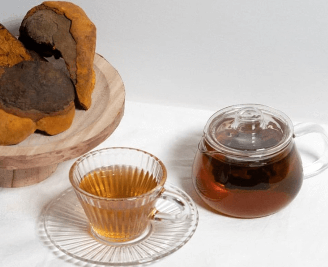 상황버섯 효능 부작용-상황버섯-차