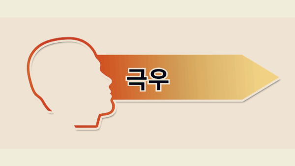 극우 뜻 특징 역사 한국 극우
