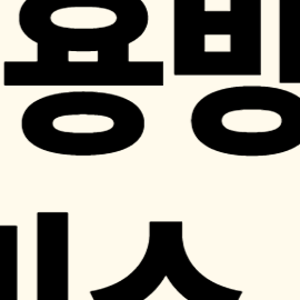 사이렌24, 나이스지키미, 명의도용방지