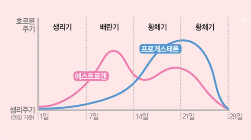생리 주기가 빨라지는 이유 4가지