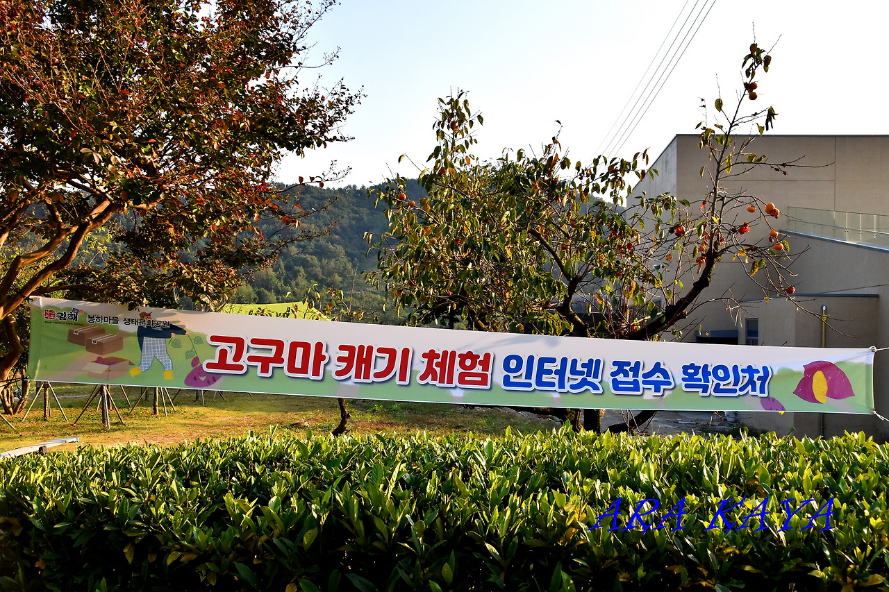 봉하마을 자전거 대여