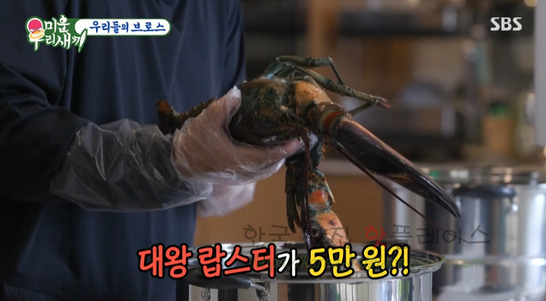 미우새 이상민 돼지껍데기 양장피 요리 만들기 레시피 - 미운우리새끼 우리들의 브로스 2 ywAAAAAAQABAAACAUwAOw==