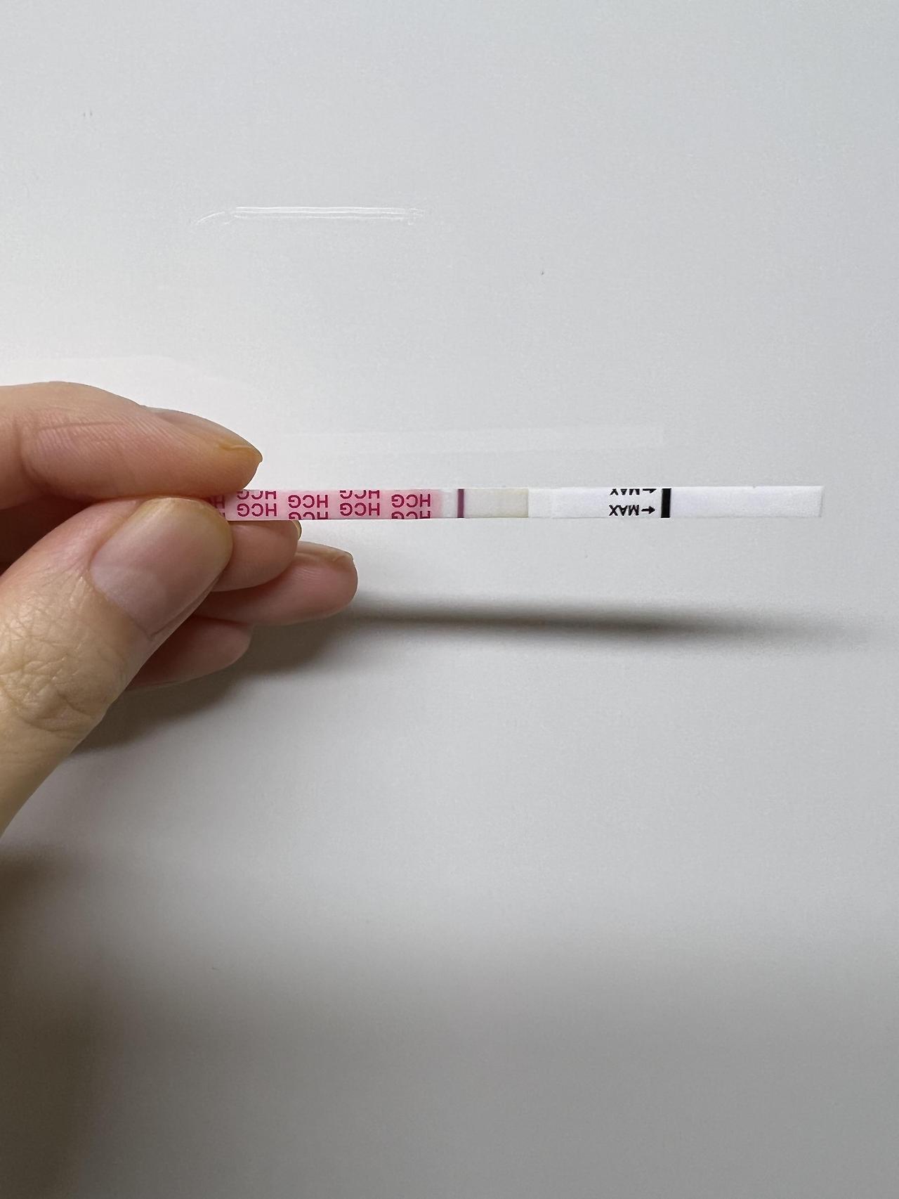 원포 임테기 시약선 구분하기 / 임테기 시약선 / 매직아이 구분
