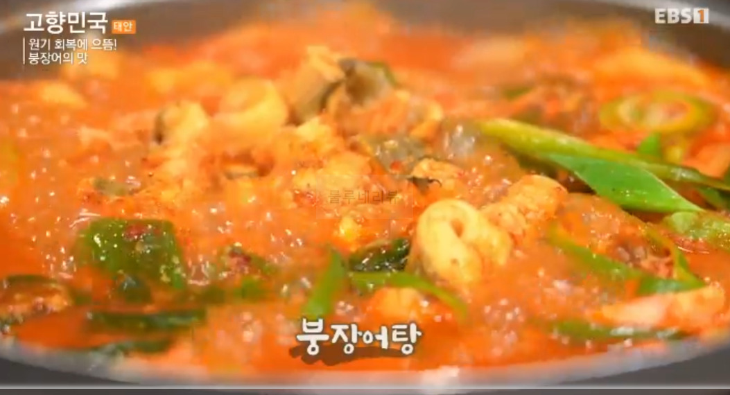 고향민국 원기 회복에 으뜸 붕장어의 맛 태안 시장 붕장어 가게 어디? 5 ywAAAAAAQABAAACAUwAOw==
