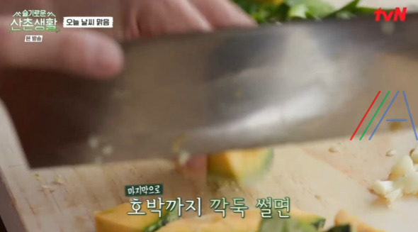 슬기로운산촌생활 배춧국 만들기 레시피 2 ywAAAAAAQABAAACAUwAOw==