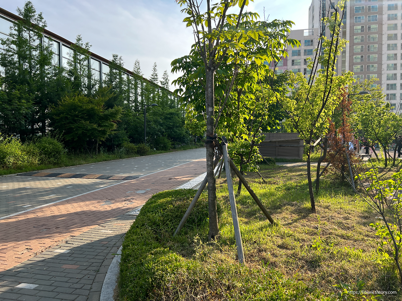 영어회화 대본 I'm up in the air about how to handle that