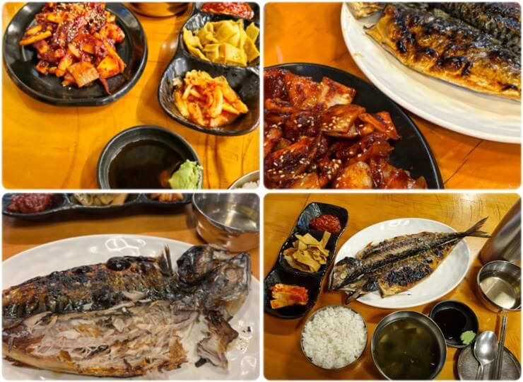 신촌 맛집 고삼이
