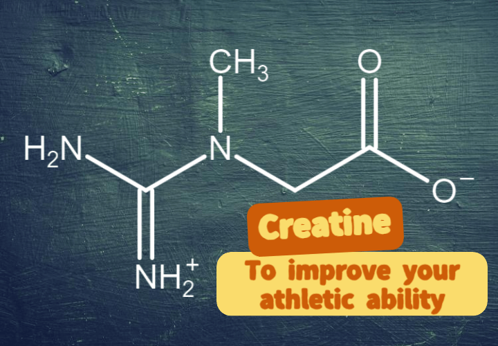 운동 능력을 향상시키고 싶을 때 : 크레아틴(creatine) 보충제 1 Creatine