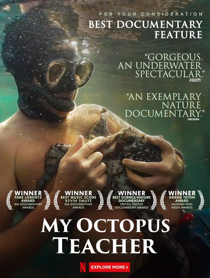 My Octopus Teacher, 2020