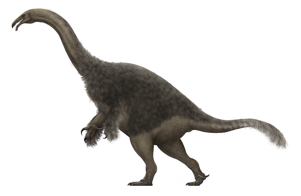 출처: https://www.encyklopedia.dinozaury.com/wiki/Segnosaurus#/media/File ...