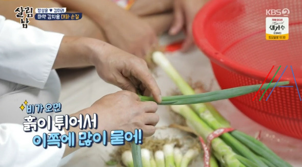 살림남 마약 김치 양념장, 총각무 김치 & 대파 김치 담그기 만들기 만드는 법 레시피, 정성윤 임성근 김장 김치 담그는법 만들기 레시피 - 2시간 김장김치 + 비법 양념장 6 ywAAAAAAQABAAACAUwAOw==