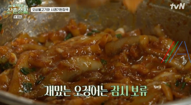 슬기로운산촌생활 오삼불고기 레시피 만드는 법 - 조정석 오징어삼겹살볶음 21 ywAAAAAAQABAAACAUwAOw==